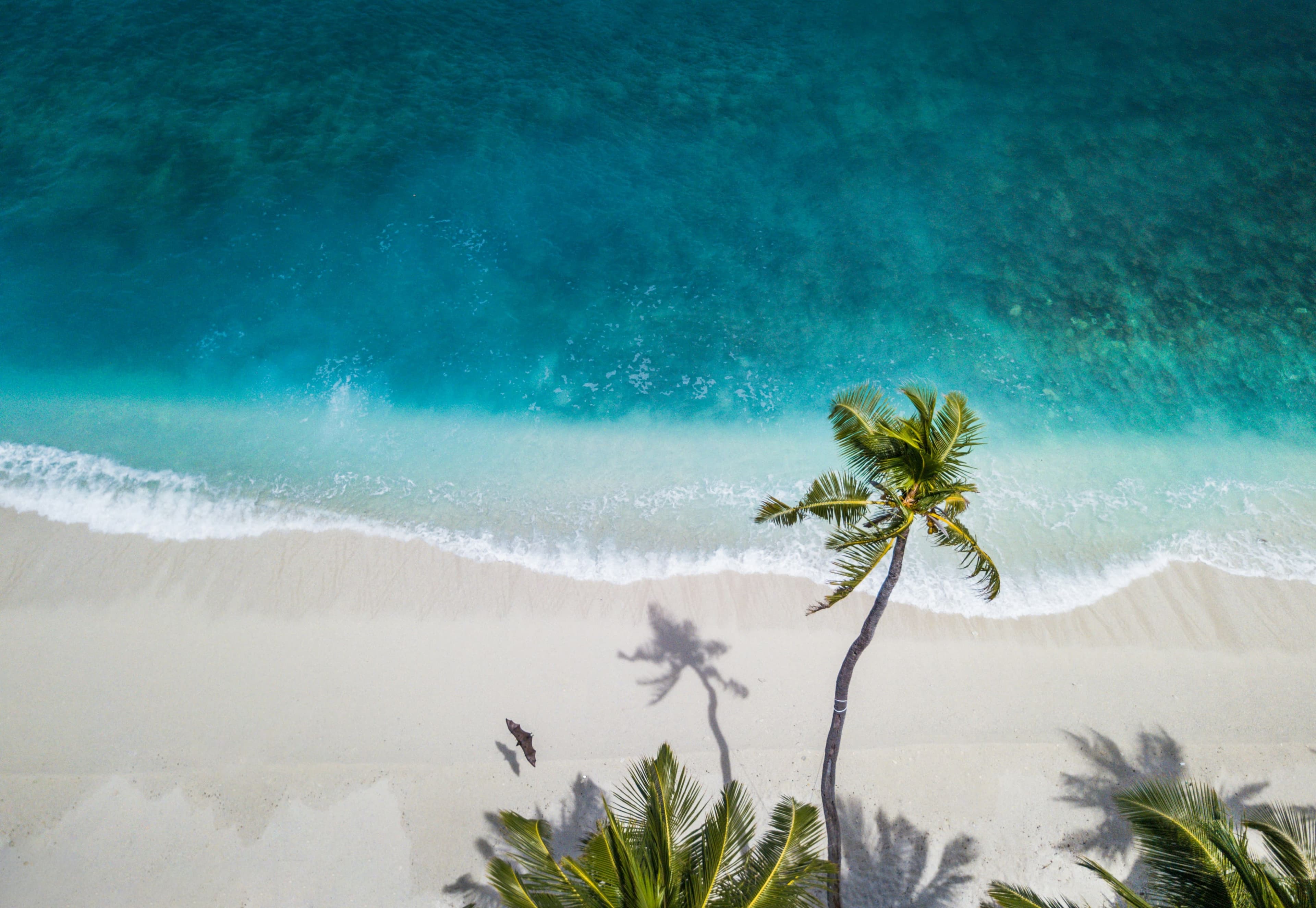 The Maldives