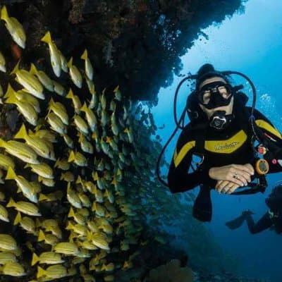 Scuba Diving