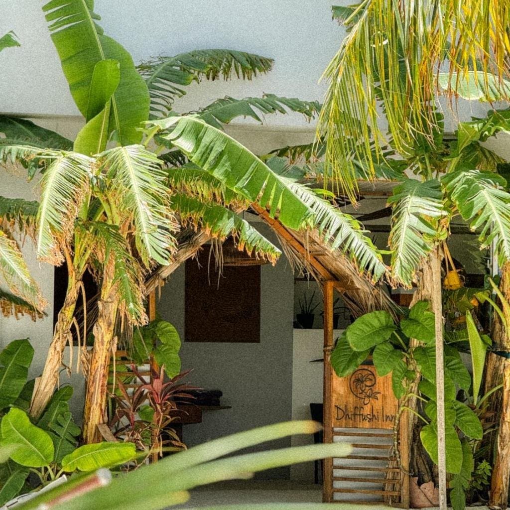 Dhiffushi Inn