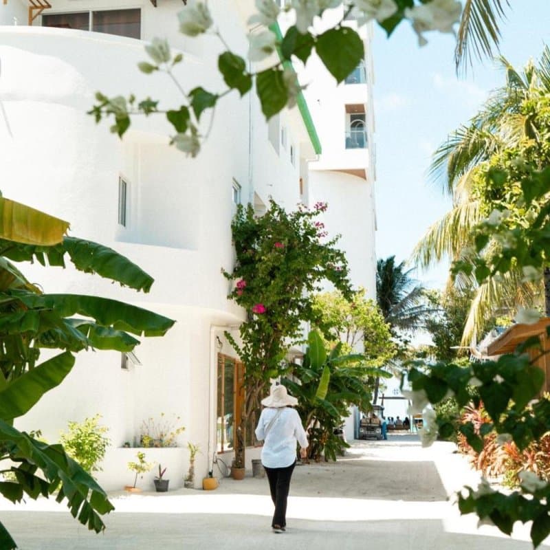 Dhiffushi Inn