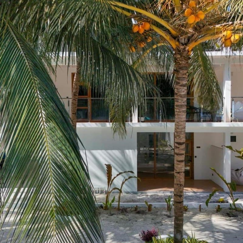 The Palms Thoddoo