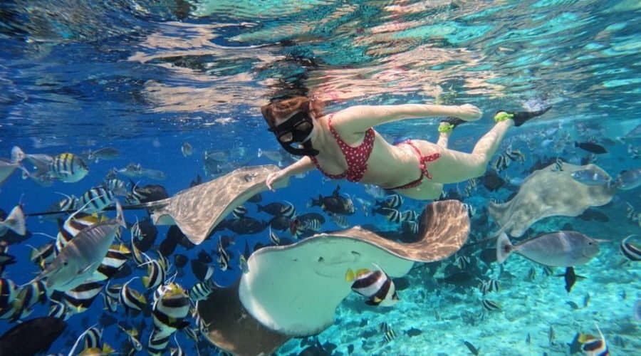 Fish Tank Private Snorkeling Charter, Maldives Speedboat Tour
