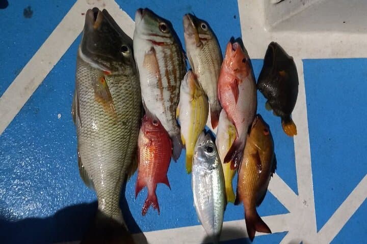 Night Fishing Private Dhoni Charter, Maldives Traditional Handline Fishing