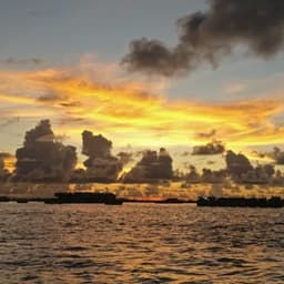 Malé: 2 Hour Sunset & Dolphins: An Unforgettable Cruise Experience! 4
