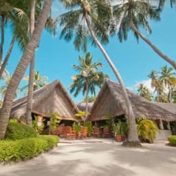 Malé: Fihalhohi Island Resort All-Inclusive Day Pass 4