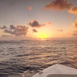 Malé: 2 Hour Sunset & Dolphins: An Unforgettable Cruise Experience! 2