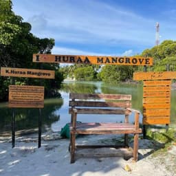 Malé: 6 Hour Huraa Island Mangrove Exploration – Authentic Island Life & Eco Adventure 5
