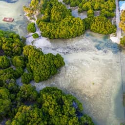 Malé: 6 Hour Huraa Island Mangrove Exploration – Authentic Island Life & Eco Adventure 1