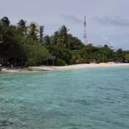 4 Hour Villingili Green Walk: A Guided Eco Tour Through Local Island Culture 2