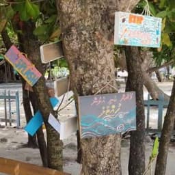 4 Hour Villingili Green Walk: A Guided Eco Tour Through Local Island Culture 1