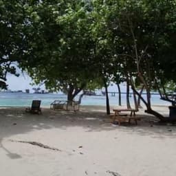 4 Hour Villingili Green Walk: A Guided Eco Tour Through Local Island Culture 4