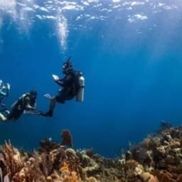 Villingili: Discover Scuba Diving 2