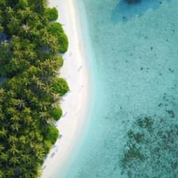Fihalhohi Island Resort Day Visit from Maafushi 5