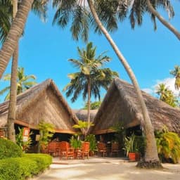 Fihalhohi Island Resort Day Visit from Maafushi 4
