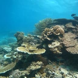 Full Day Island Hopping & Snorkeling Adventure 3