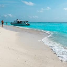 Half Day Snorkeling & Sandbank Adventure  4
