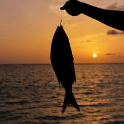 Night Fishing Experience – Sunset Cruise and Hand-Line Fishing 3