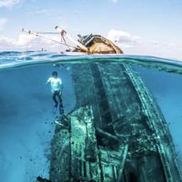 Real Break Adventure – Snorkel Shipwrecks, Swim with Sharks & Dolphin Cruise 1