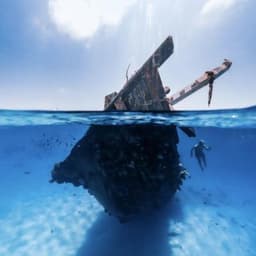 Real Break Adventure – Snorkel Shipwrecks, Swim with Sharks & Dolphin Cruise 4