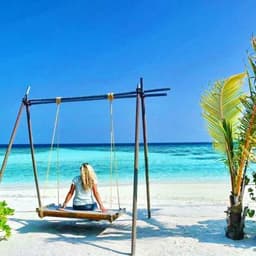 Real Break Adventure – Snorkel Shipwrecks, Swim with Sharks & Dolphin Cruise 5