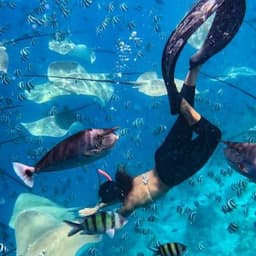 Fishtank Adventure – Swim Among Tropical Fish & Stingrays 6