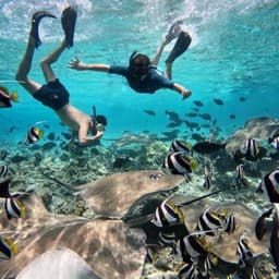 Fishtank Adventure – Swim Among Tropical Fish & Stingrays 2
