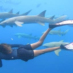 VaavuVenture – The Ultimate Vaavu Adventure 5