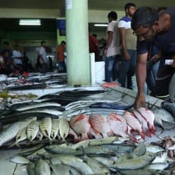 Malé: 3 Hour Malé City Walking Tour 4
