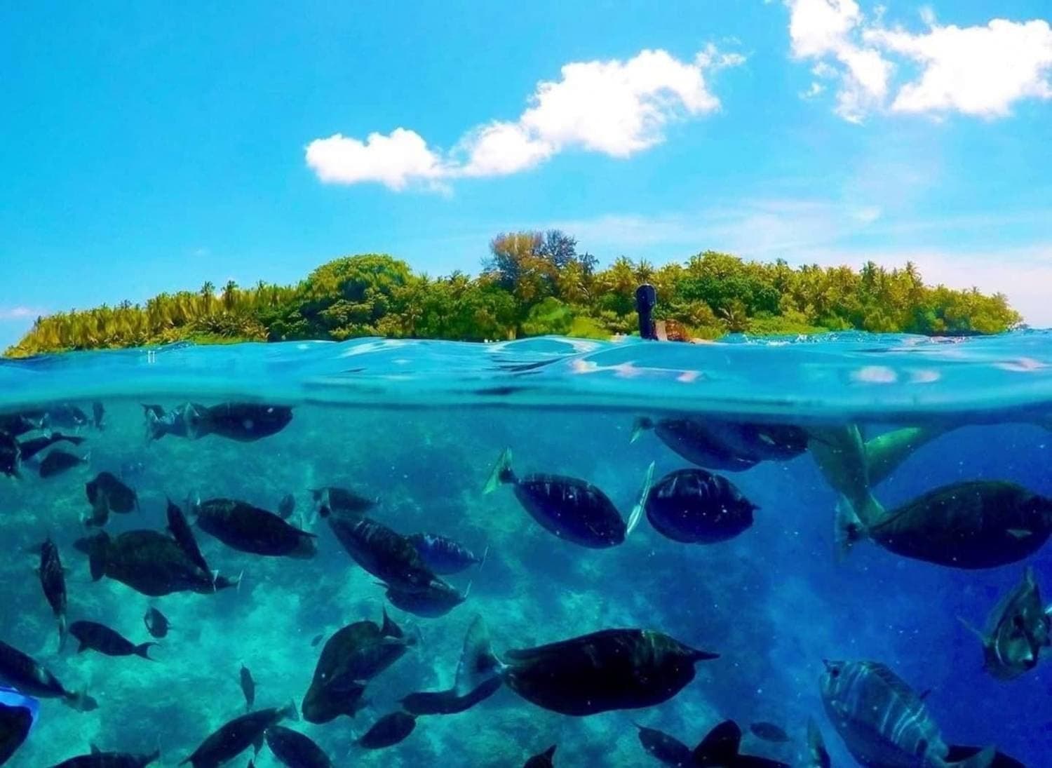Full Day Maldives Adventure Trip from Maafushi