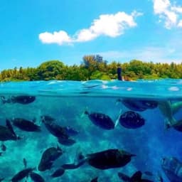 Full Day Maldives Adventure Trip from Maafushi 1