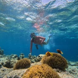 Full Day Maldives Adventure Trip from Maafushi 4