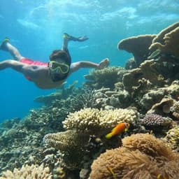 Half-Day Snorkeling & Sandbank Adventure in the Maldives 4