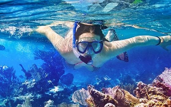 Half-Day Snorkeling & Sandbank Adventure in the Maldives
