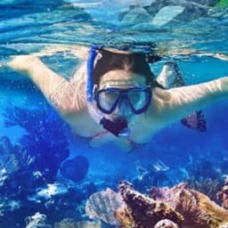 Half-Day Snorkeling & Sandbank Adventure in the Maldives 1