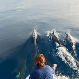 Half-Day Snorkeling & Sandbank Adventure in the Maldives 3