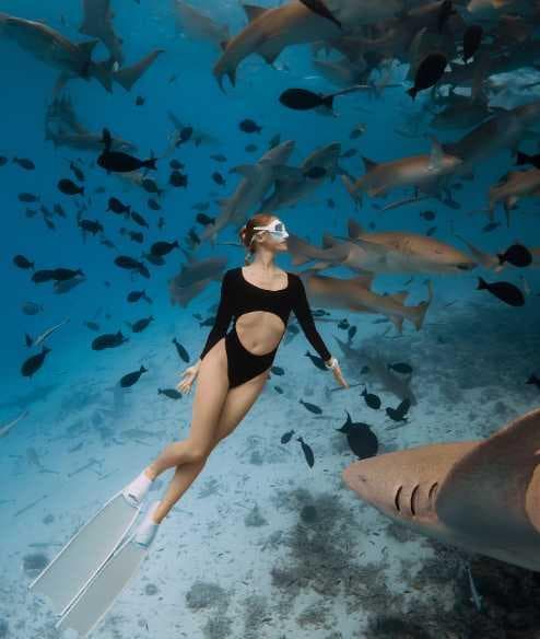 Nurse Shark Snorkeling & Stingray Encounter – Maldives Full-Day Adventure