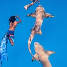 Nurse Shark Snorkeling & Stingray Encounter – Maldives Full-Day Adventure 4
