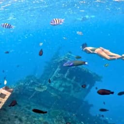 Shipwreck Snorkeling Adventure with Nurse Sharks, Dolphins & Sandbank Visit 2