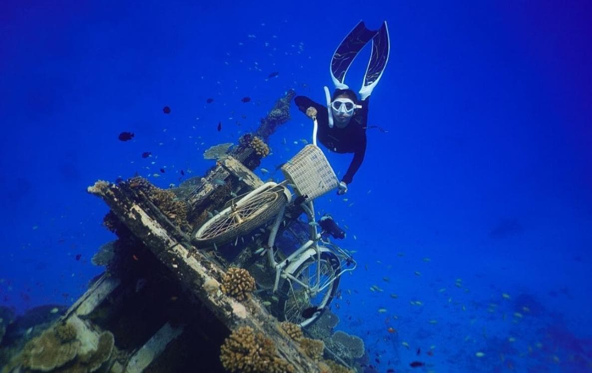 Shipwreck Snorkeling Adventure with Nurse Sharks, Dolphins & Sandbank Visit