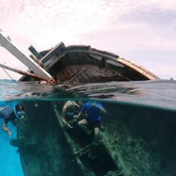 Shipwreck Snorkeling Adventure with Nurse Sharks, Dolphins & Sandbank Visit 3