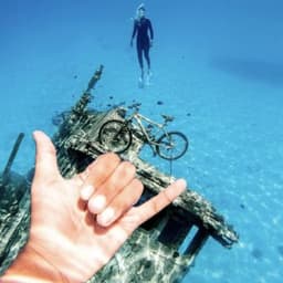 Shipwreck Snorkeling Adventure with Nurse Sharks, Dolphins & Sandbank Visit 4