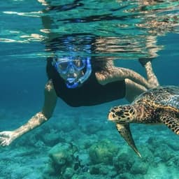 Snorkeling Adventure in the Maldives 4