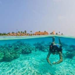 Snorkeling Adventure in the Maldives 3