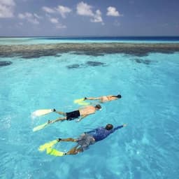 Snorkeling Adventure in the Maldives 5