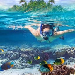 Snorkeling Adventure in the Maldives 1