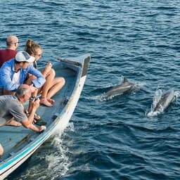 Sunset Dolphin Watching Tour in Himmafushi North Malé Atoll 3