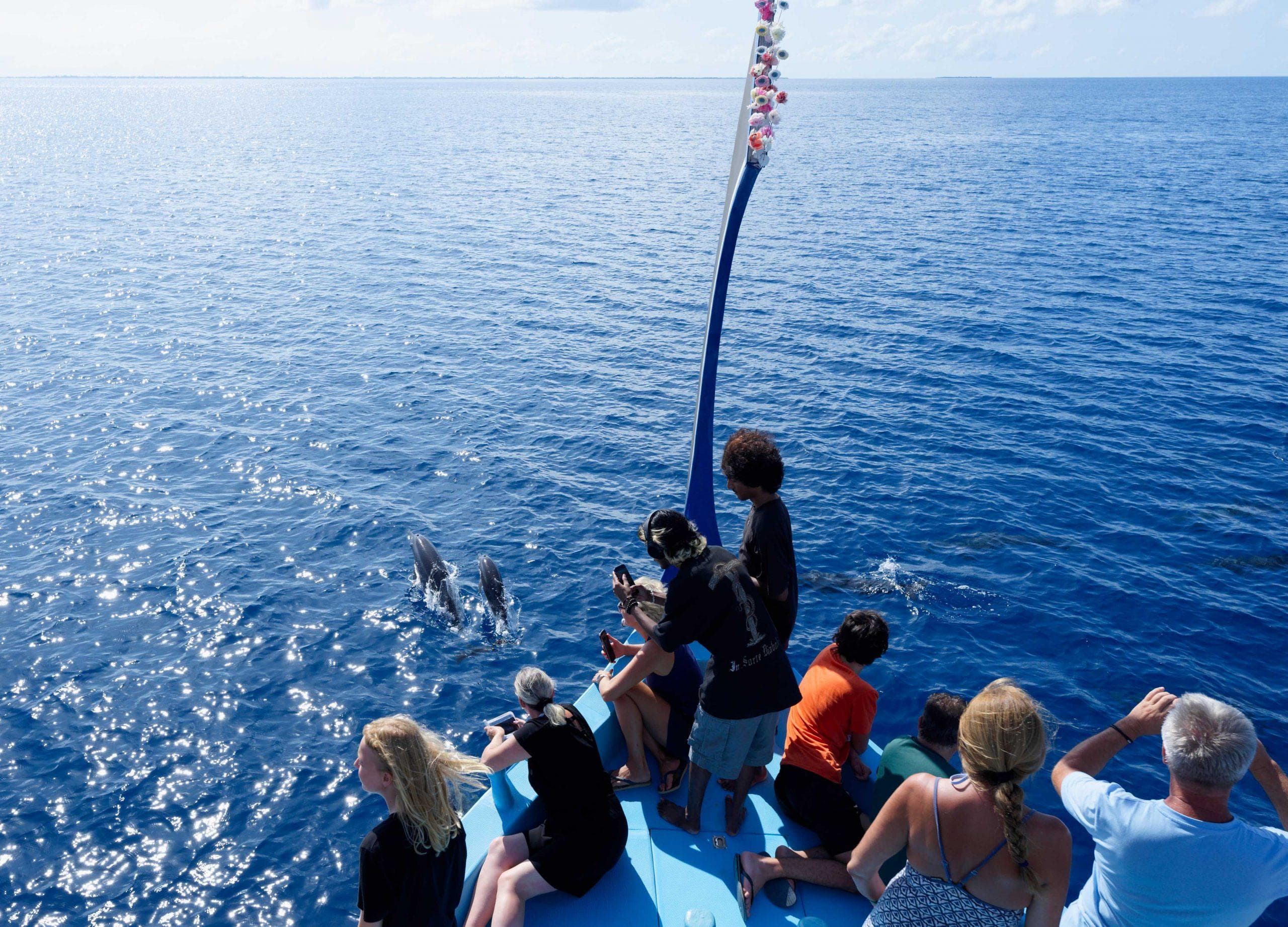 Sunset Dolphin Watching Tour in Himmafushi North Malé Atoll