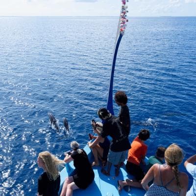 Sunset Dolphin Watching Tour in Himmafushi North Malé Atoll