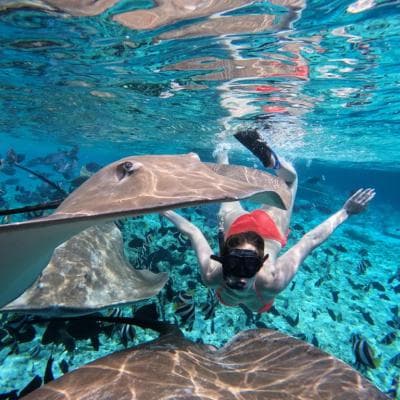 Fish Tank & Reef Shark Snorkeling Safari in Himmafushi Maldives