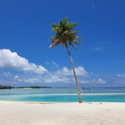 Huraa & Snorkeling Day Trip from Himmafushi with BBQ Dinner 3